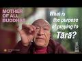 Mother of All Buddhas: A Teaching on Ārya Tārā with Dzongsar Khyentse Rinpoche
