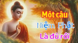 Thành tâm Niệm Phật mỗi ngày là gieo hạt giống Phật trong tâm đến giây phút lâm chung  về cõi Phật