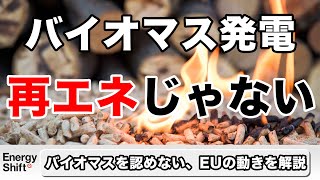 バイオマス発電は再エネと認めない、EU規制強化へ