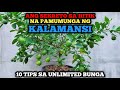 10 TIPS SA HITIK NA BUNGA NG KALAMANSI