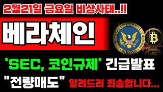 [베라체인 코인] SEC,코인규제 긴급발표 터졌습니다!! \