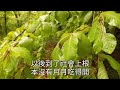 （完结爽文）我的丈夫私自調換了名額，將原本屬於我們女兒的腎源，換給了他白月光的女兒，後來女兒病情惡化搶救無效，與此同時白月光女兒手術成功，丈夫在高興地給全醫院發紅包！ 情感幸福 出軌家產 白月光