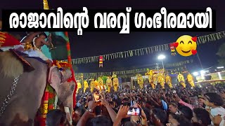 തെച്ചിക്കോട്ടുകാവ് രാമചന്ദ്രൻ  ❤️😍 രാജാവിന്റെ വരവ്വ് ഗംഭീരമായി  Thechikottukavu Ramachandran👑