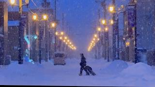 冬の札幌・北海道 5日間の雪景色列車の旅｜第1話