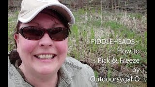 FIDDLEHEADS ~ How to Pick \u0026 Freeze by Outdoorsygal O