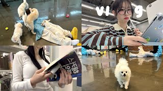 vlog | 중앙대생의 방학📖 | 도서관 다니는 일상•유기견 봉사 🐾•토익 3일 벼락치기!?