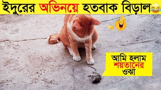 পশুদের মজার কর্মকান্ড ক্যামেরায় ধরা পড়া | Funny Animals Video 2023 (Part-12) | mayajaal