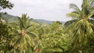 Na Uyana Forest Monastery: Sri Lanka