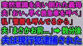 【スカッとする話】突然意識を失い倒れた義母。夫「おい、早く救急車を呼べ」 私「警察も呼んでるから」 夫「まさかお前知っていたのか   」→数分後 夫は現行犯逮捕された