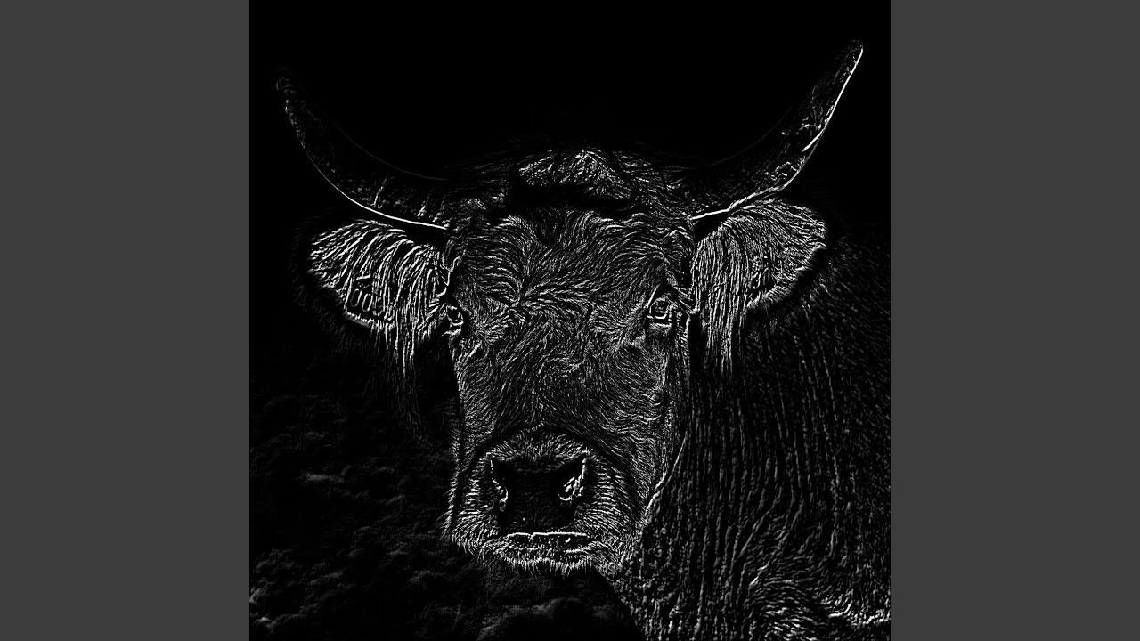 Meat I Youtube