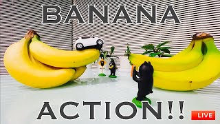 【TOYOTA iQ】  LIVE⁈ Toyota iQ BANANA ACTION‼︎ -StopMotion-