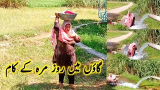 Pakistan Village Life Daily Routine|Rural Life Pakistan|panjab Village Pakistan|