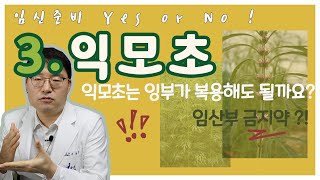 난임과 난임한약 Yes 혹은 No! 제3편 익모초