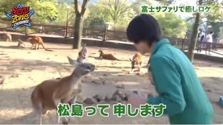 カンガルーと友達になれる松島聡 #sexyzone #松島聡