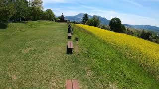 2022年5月10日連休明けの飯山菜の花公園内を散歩