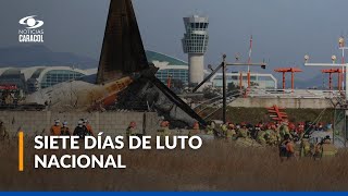 La hipótesis que explicaría la causa del accidente aéreo en Corea del Sur que dejó 179 muertos