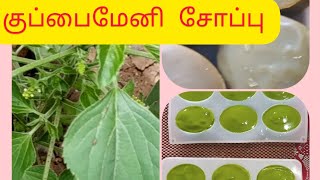 குப்பைமேனி சோப்பு/how to make kuppaimeni soapin tamil/natural herbal soap/homemade soap