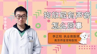 狗放屁有聲音怎么回事