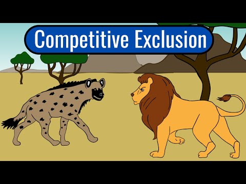 What is competitive exclusion principle quizlet?