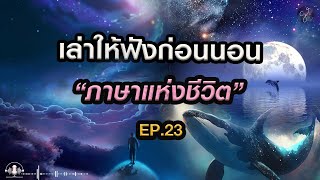 🎧 เล่าให้ฟังก่อนนอน Ep.23 : ภาษาแห่งชีวิตในห้วงจักรวาล | Grandever.p