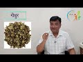 अंदरूनी ताकत बढ़ाने की 5 आयुर्वेदिक जड़ीबूटी ayurvedic herbs to increase stamina 337