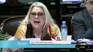 Diputada Carrió Elisa María Avelina - Sesión 04-07-2018 - CP