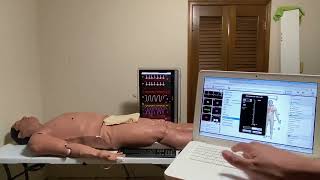 Apollo / METIman CAE Human Patient Medical SImulator Demo