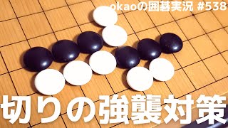 切りの強襲を受け切る、三々定石後の攻防解析【囲碁実況#537】