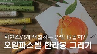 오일파스텔 | 간단하고 귀여운 제주도 한라봉 과일 쉬운 그림그리기 기초 how to draw fruit, Oil Pastel drawing