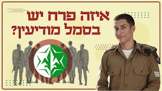 תעלומת סמל מודיעין: בעקבות הפרח המסתורי של אנשי הצללים | צה״ל