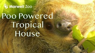 Marwell Zoo New Tropical House 2018 4K