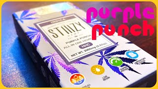 Stiiizy Purple Punch HHC Disposable Device Review