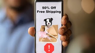 10 Tips For Spotting Online Puppy Scams! (Don’t Be Tricked)