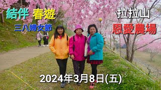 2024 拉拉山恩愛農場 賞櫻遊 第三站 粉紅浪漫國度113/3/8日