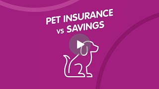 Pet Insurance vs Savings Account