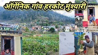 मुनस्यारी तहसील का सुंदर ऑर्गेनिक गांव हरकोट!! Organic Village!!