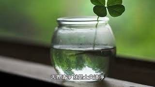 白話 大般若波羅蜜多經卷第一百九十二