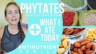 Managing PHYTATES on a Plant-Based Diet + What I Ate Today