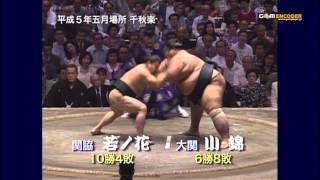 若ノ花vs小錦 (平成5年五月場所)