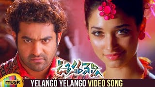Oosaravelli Telugu Movie Video Songs | Yelango Yelango Telugu Song | Jr NTR | Tamanna | DSP