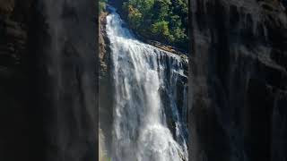 Unchalli Waterfalls | Aganashini River | Sirsi #Shorts