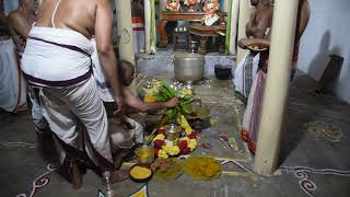 THIRUPATHI SWAMY DESIKAN AND GOVINDARAJA PERUMAL THIRUMANJANAM THE HINDU MADHAVAN 18/10/2018