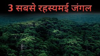 3 सबसे रहस्यमय जंगल।3 most mysterious forest in the world