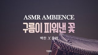 당신 꿈을 꾸었습니다🌙 l 구름이피워낸꽃asmr, 홍련X백한 l 동양/한국풍 중세 앰비언스