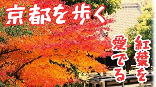 京都を歩くARUKU ・のんびりと、ゆっくりと・・・紅葉を愛でる