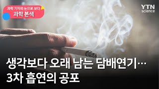 [과학본색①] 생각보다 오래 남는 담배연기…3차 흡연의 공포  / YTN 사이언스