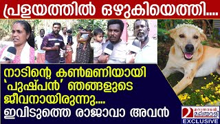 നാടിന്റെ കാവലും കരുതലുമായ തെരുവ് നായയുടെ വേര്‍പാടില്‍ മനംനൊന്ത് ഗ്രാമവാസികള്‍...കുടീരവും പണിയും |