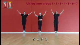 Tutorial Flashmob Dansschool PURE 2023!