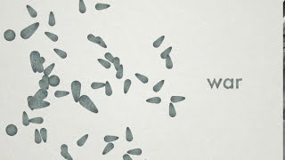 Wicked Problems