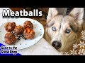 Bakso Buatan Sendiri untuk Anjing | Resep Camilan Anjing DIY 92 | Camilan Anjing Buatan Rumah